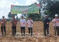 Wabup Sarolangun Gerry Trisatwika Pimpin Penanaman Jagung Serentak