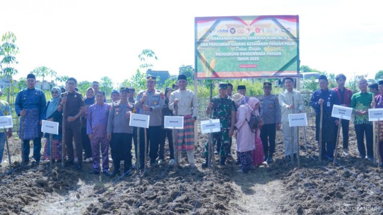 Forkopimda Sarolangun Dukung Swasembada Pangan Nasional Lewat Gerakan Tanam Jagung Serentak