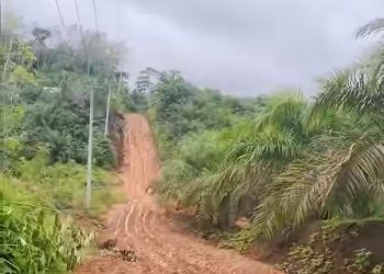 Respons Keluhan Warga, Pemkab Sarolangun Genjot Perbaikan Jalan Rusak