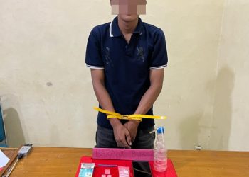 Simpan Senjata Api Rakitan dan Sabu, Warga Lubuk Napal Diamankan Polisi