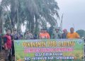 Dodi Yulian Pimpin Penanaman Padi Ladang Bumdes Bungo Cempako